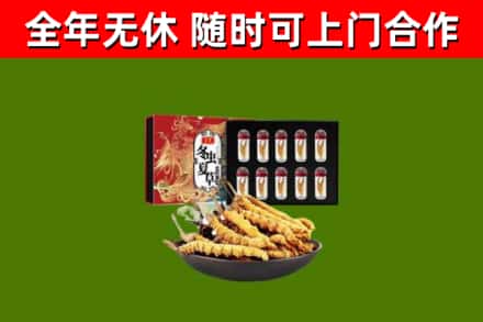 纳雍县回收冬虫夏草价格